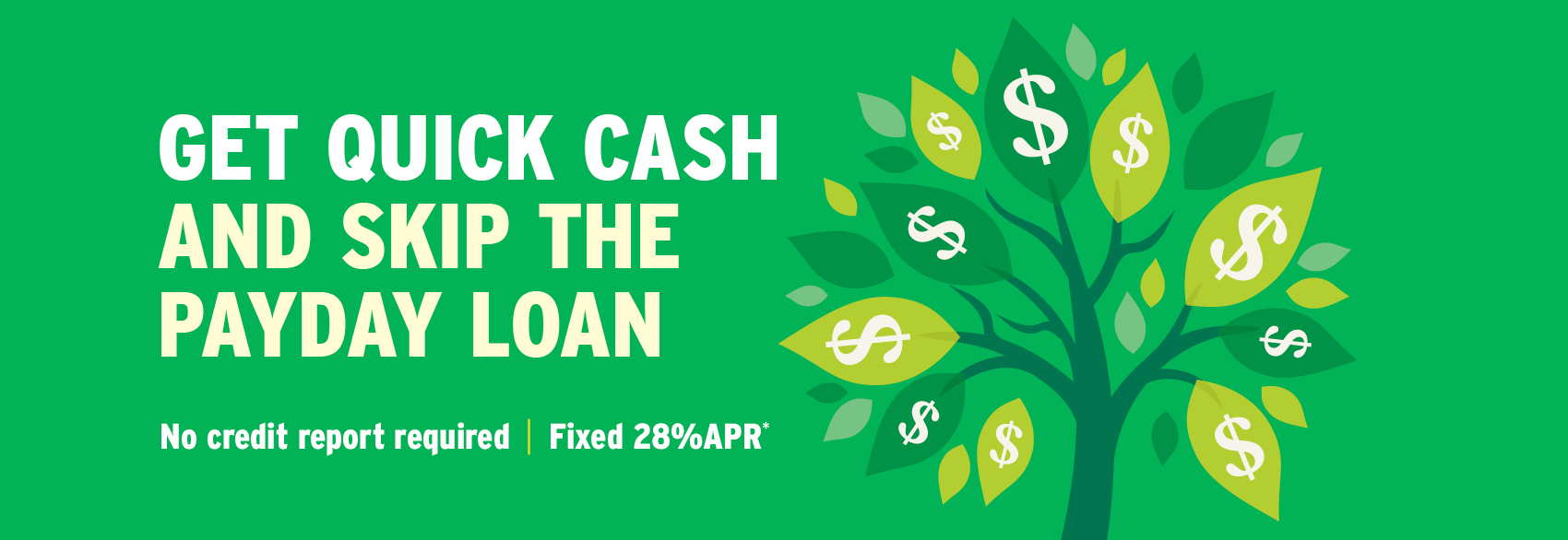 Money tree letting viewers know that they can avoid payday lenders and get an Express loan with no credit check at 28% APR